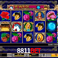 8811bet Rio de Janeiro - Bonus Terms